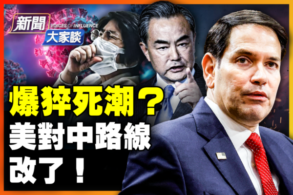 丝的心