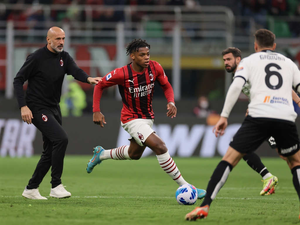 茨的多面性 茨的多面性